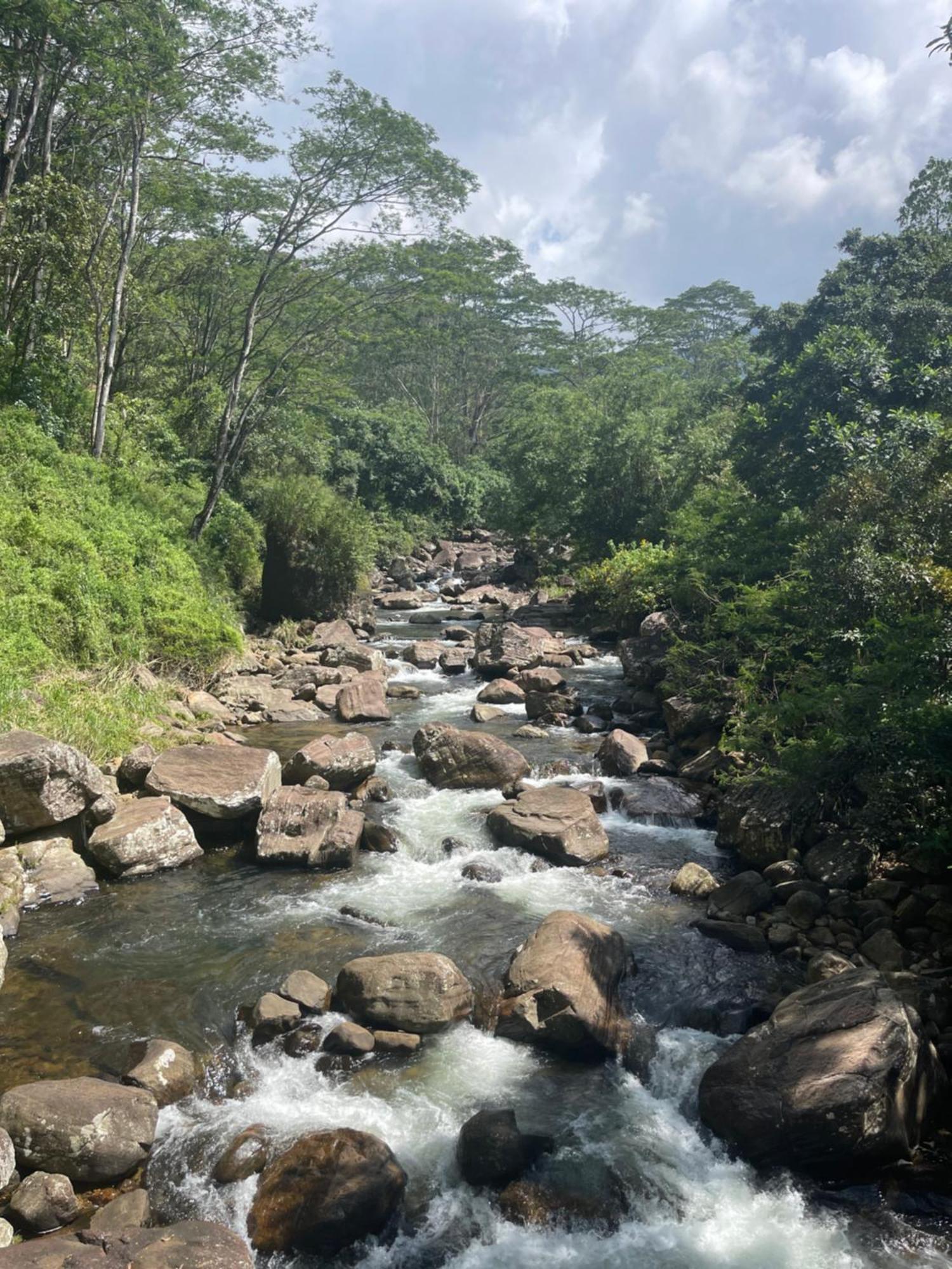 Eagles Lodge - Kandy Digana Bagian luar foto