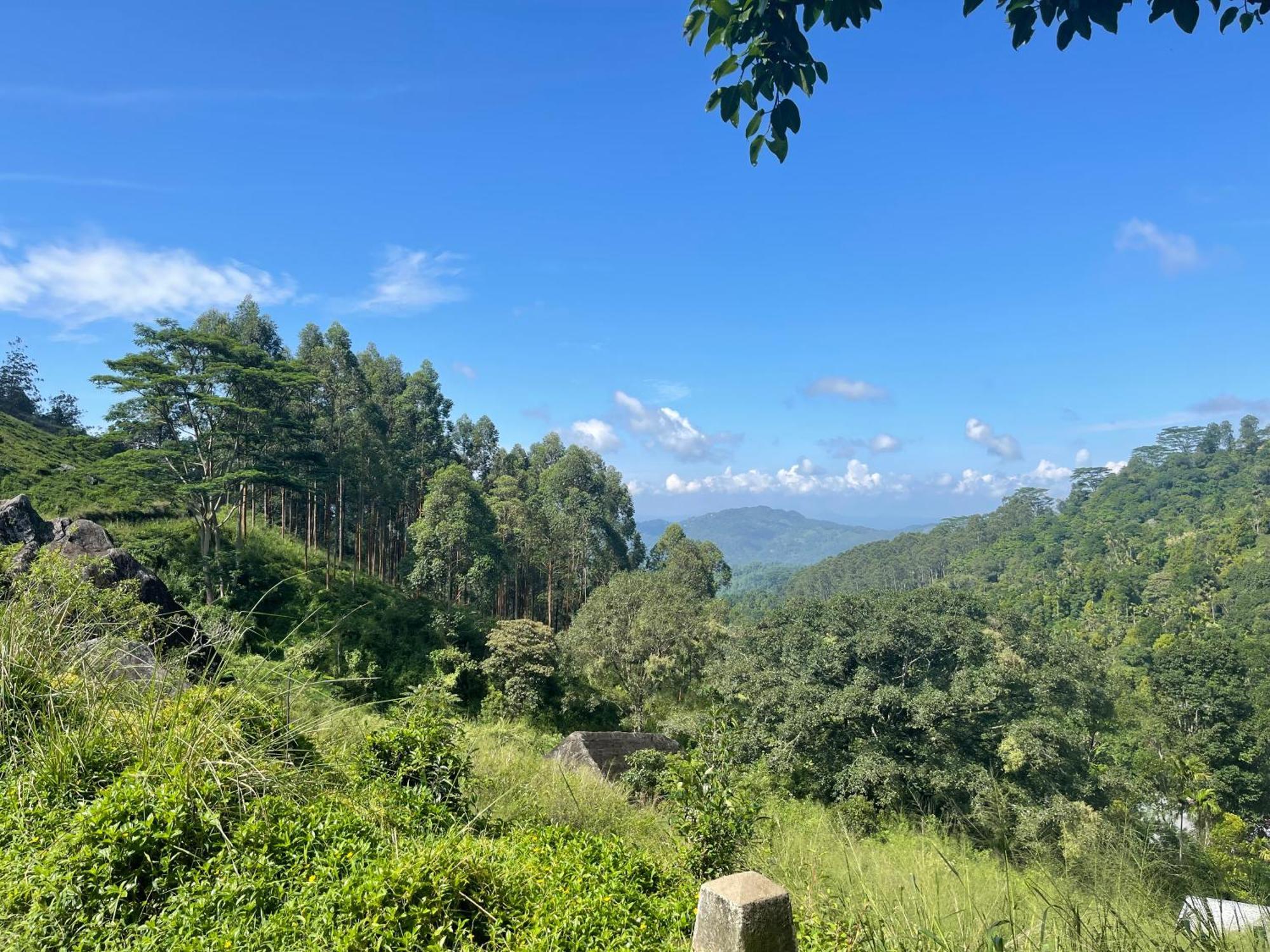 Eagles Lodge - Kandy Digana Bagian luar foto