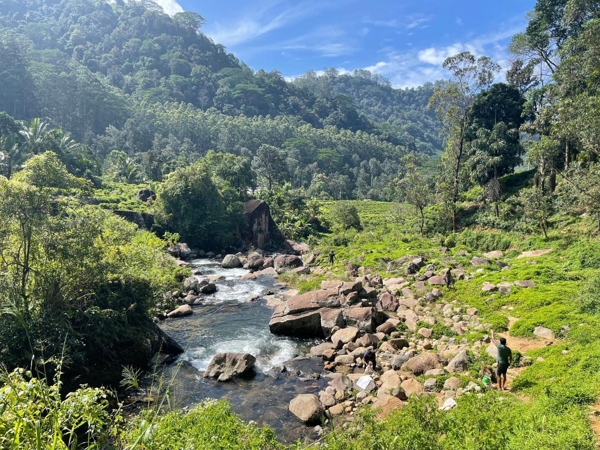 Eagles Lodge - Kandy Digana Bagian luar foto